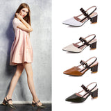 2025 Spring And Summer New Single-Shoe Women's Sharp Head Thick-Heeled Women's Shoes Heeled High Heels Hollow Women's Sandals HZ0115