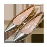 Silver Pointed Thick Heel High Heels Women 2025 New Light-Mouthed Temperament Retro Commute Low Heel Single Shoes Are Not Tired HZ0115