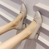 Coarse Heel Single Shoes Women 2025 New Spring And Summer Small Fragrant Wind Soft Leather Soft Sole Commuting Women's Shoes Square Head Gentle Mary Jane Shoes HZ0115