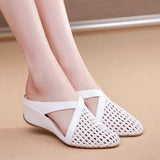 Scraper Slope And Baiji Soft Bottom Slippers Women 2025 New Spring And Summer Women's Wear Slippers Half Dragging HZ0115