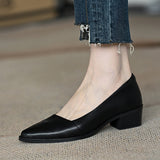 Sharp Single-Shoe Women 2025 New Thick-Heeled French Light Mouth Heeled Women's High Heels HZ0115