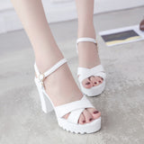 Sandals Women 2025 Summer New Korean Version Of High-Heeled Sandals One-Word Buckle Fashion Coarse Women's Sandals HZ0115