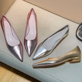 Silver Pointed Thick Heel High Heels Women 2025 New Light-Mouthed Temperament Retro Commute Low Heel Single Shoes Are Not Tired HZ0115