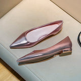 Silver Pointed Thick Heel High Heels Women 2025 New Light-Mouthed Temperament Retro Commute Low Heel Single Shoes Are Not Tired HZ0115