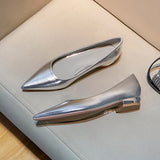 Silver Pointed Thick Heel High Heels Women 2025 New Light-Mouthed Temperament Retro Commute Low Heel Single Shoes Are Not Tired HZ0115