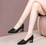 Vintage Pointed Light Mouth Heel Single Shoes Women's Coarse Leather Shoes 2025 Spring And Autumn New Fashion Large Size Women's Shoes HZ0115