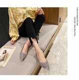 Champagne Wedding Shoes Bridal Shoes In The Summer Of 2025 New Silver Engagement Low Heels Do Not Tired Singles Women HZ0115
