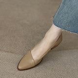 Sharp Single-Shoe Women 2025 New Thick-Heeled French Light Mouth Heeled Women's High Heels HZ0115