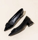 Temperament Net Red Fashion Sharp Thick Heel Single Shoes Women 2025 New Shallow-Mouthed Comfortable Career Heel High Heels HZ0115