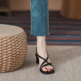 Beautiful Sandals Women's 2025 Summer New Wear Fairy Wind Coarse French Small High Heels HZ0115