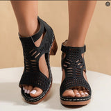 Large-Size Women's Shoes 2025 Summer New Coarse Heel High-Heeled Shoes Hollow Fish Mouth Sandals Women HZ0115