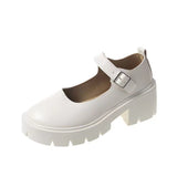 Single-Shoe Women's 2025 New Mary Jane Women's Shoes Thick Heel Thick-Soled JK Uniform Single-Shoe High-Heeled Women's Retro English Style HZ0115
