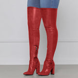 Autumn And Winter New Sexy Pointy Side Zipper High Coarse And Large Size Over Knee Boots Woman HZ0115