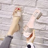 2025 New Metal Buckle Korean Version Of Cool Drag Fashion Korean Version Coarse And Flip-Flops Women's Summer Wear HZ0115