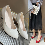 Large-Size Single-Shoe Women 2025 New Pointed Light-Mouthed Four-Season Single-Shoe Fashion Coarse Heel High-Heeled Women's Shoes Large-Size Work Shoes HZ0115