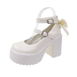 High-Heeled Mary Jane Shoes Women's New JK Small Leather Shoes In The Spring Of 2025 With Round Head Coarse Heel Shoes HZ0115