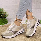 Large-Size Thick-Sed Sports Casual Women's Shoes 2025 Fashion Lace Single Shoes Fashion Sneakers HZ0115