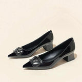 Temperament Net Red Fashion Sharp Thick Heel Single Shoes Women 2025 New Shallow-Mouthed Comfortable Career Heel High Heels HZ0115