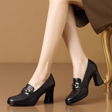 Square Waterproof Table Single Shoes Women's Coarse Heels 2025 Spring New Fashion Baile Shoes Women's Shoes HZ0115