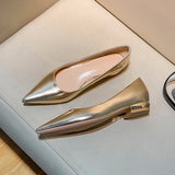 Silver Pointed Thick Heel High Heels Women 2025 New Light-Mouthed Temperament Retro Commute Low Heel Single Shoes Are Not Tired HZ0115