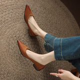 French Retro Wiping Pointy Light-Mouthed Single-Shoe Women 2025 New Comfortable Soft Leather Thick Heel Low-Heeled Single Shoes HZ0115