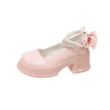 Mary Jane Shoes Women Spring And Autumn New High Heels French Coarse Heel Shoes Thick Sole Small Leather Shoes HZ0115