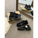 Grey Mary Jane Hairy Shoes Women's Winter Wearing New French Vintage Vintage Coarse Heel Women's Tuff High Heels HZ0115