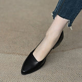Sharp Single-Shoe Women 2025 New Thick-Heeled French Light Mouth Heeled Women's High Heels HZ0115