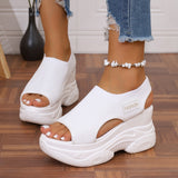 Large-Size Thick-Soled Sandals Women 2025 Summer New Fish Mouth Comfortable Flying Sports Casual Sandals HZ0115