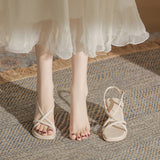 Beautiful Sandals Women's 2025 Summer New Wear Fairy Wind Coarse French Small High Heels HZ0115